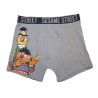 Calzoncillo boxer Barrio Sésamo Adulto