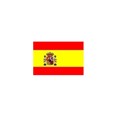 Bandera de España grande