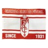 Bandera Granada Club de Fútbol grande
