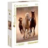 Puzzle 1000 piezas Caballos Corriendo - Tienda puzzles