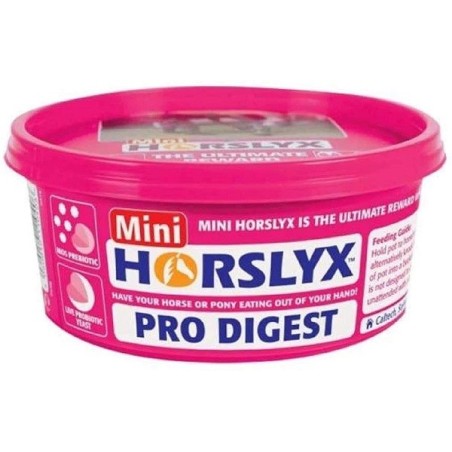 Tarrina de masilla para caballos Horslyx mini Pro Digest 650g