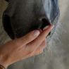 SecureHorse Flash Signs 5 ml (10 sobres) Gel de feromonas tranquilizantes equinas que promueve el alivio del estrés