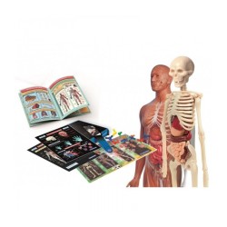 Laboratorio de Anatomía, Juego Educativo de Ciencias de Clementoni, Aprende Anatomía y Cuerpo Humano, edad +8 años